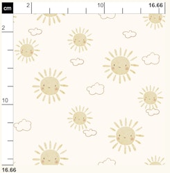 OD- Sun and Cloud
