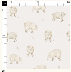 OD- Sheep
