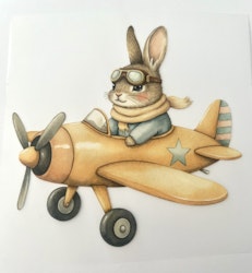 DTF bunny airline