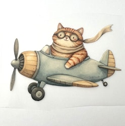 DTF kitty airline