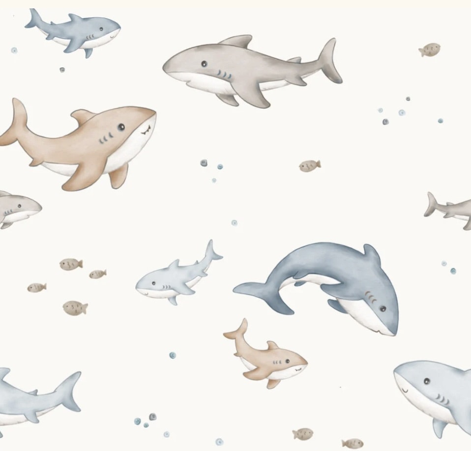 Jersey shark and baby
