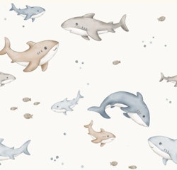 Jersey shark and baby