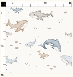 Shark and Baby Blue offwhite