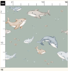 OD- Shark and Baby Seafoam