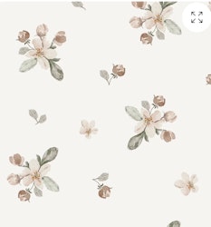 Appleblossom vintage