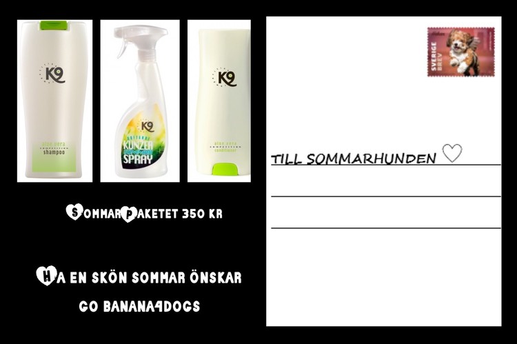 K9 Sommarpaket