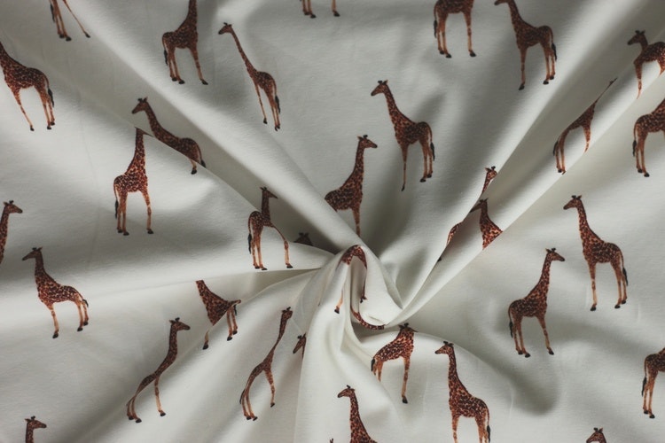 Jersey Giraffes