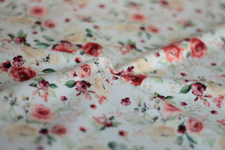 Jersey Rosy
