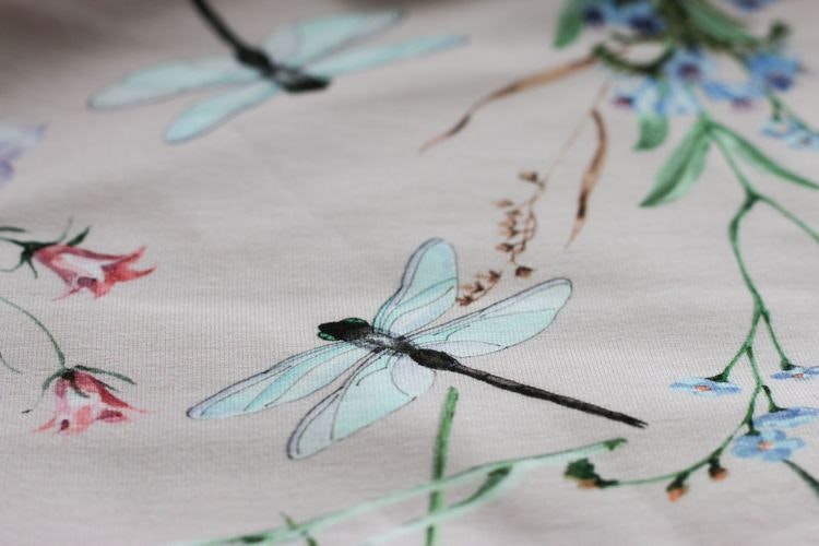 Jersey Dragonfly