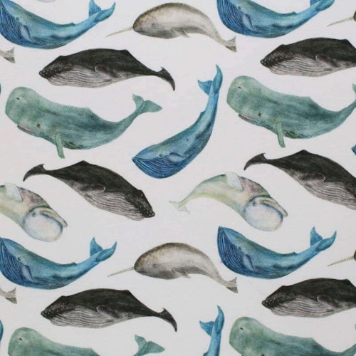 Jersey Whales