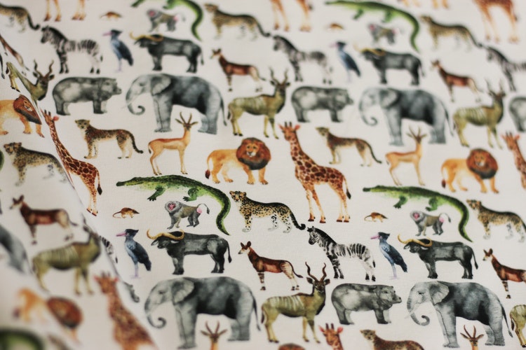 Jersey Safari