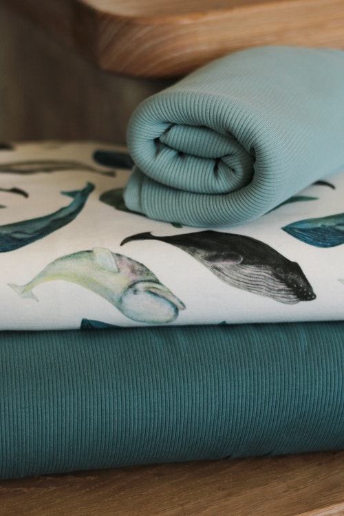 Jersey Whales