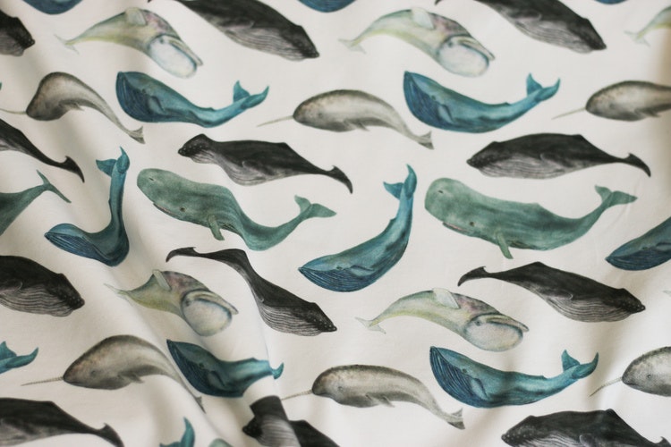 Jersey Whales