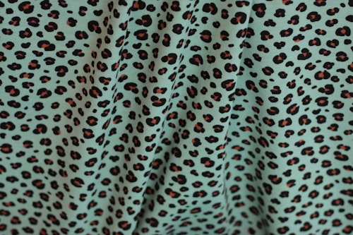 Jersey Leo Light Mint