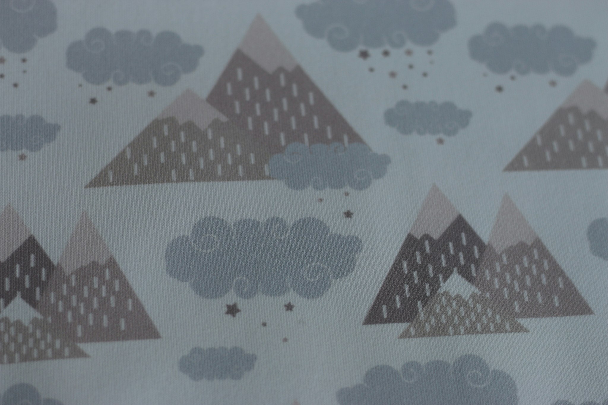 French Terry Rainy Mountains