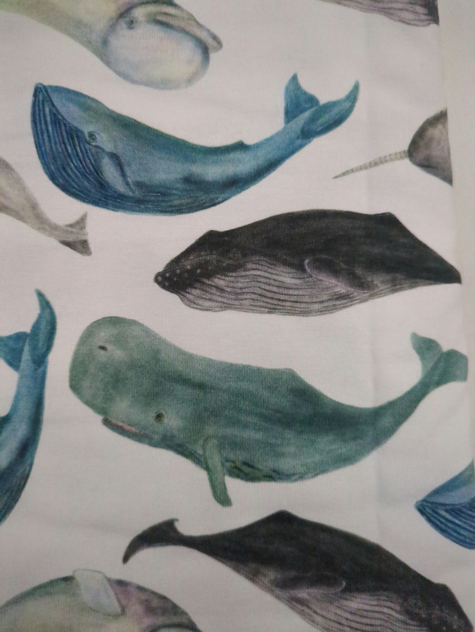 Restbit whales