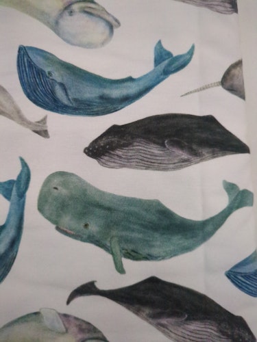 Restbit whales