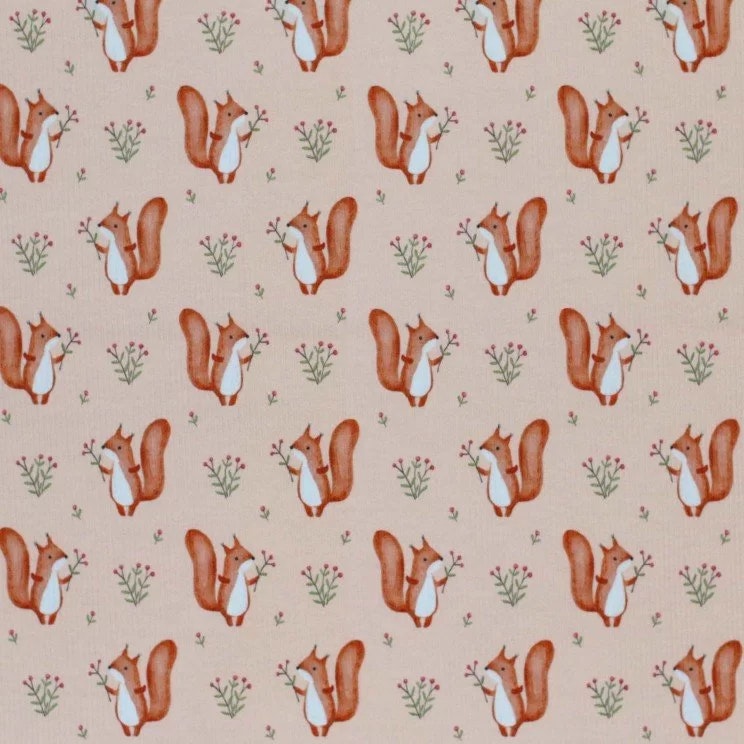 Rib Knit Jersey Squirrels