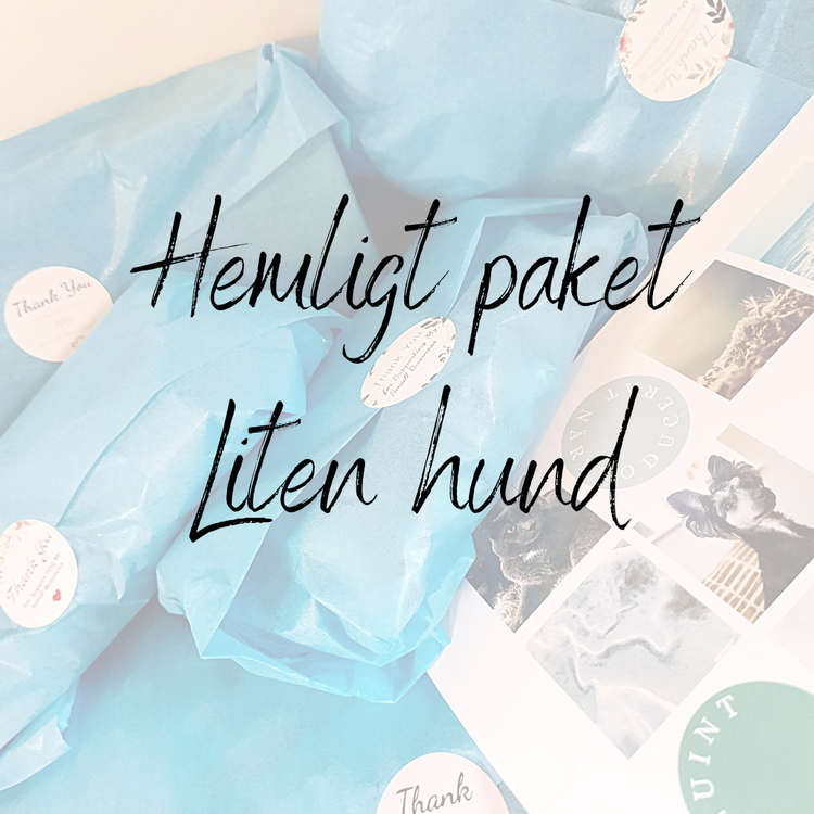 Hemligt paket - LITEN HUND