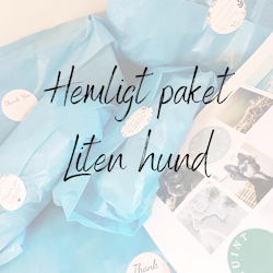 Hemligt paket - LITEN HUND