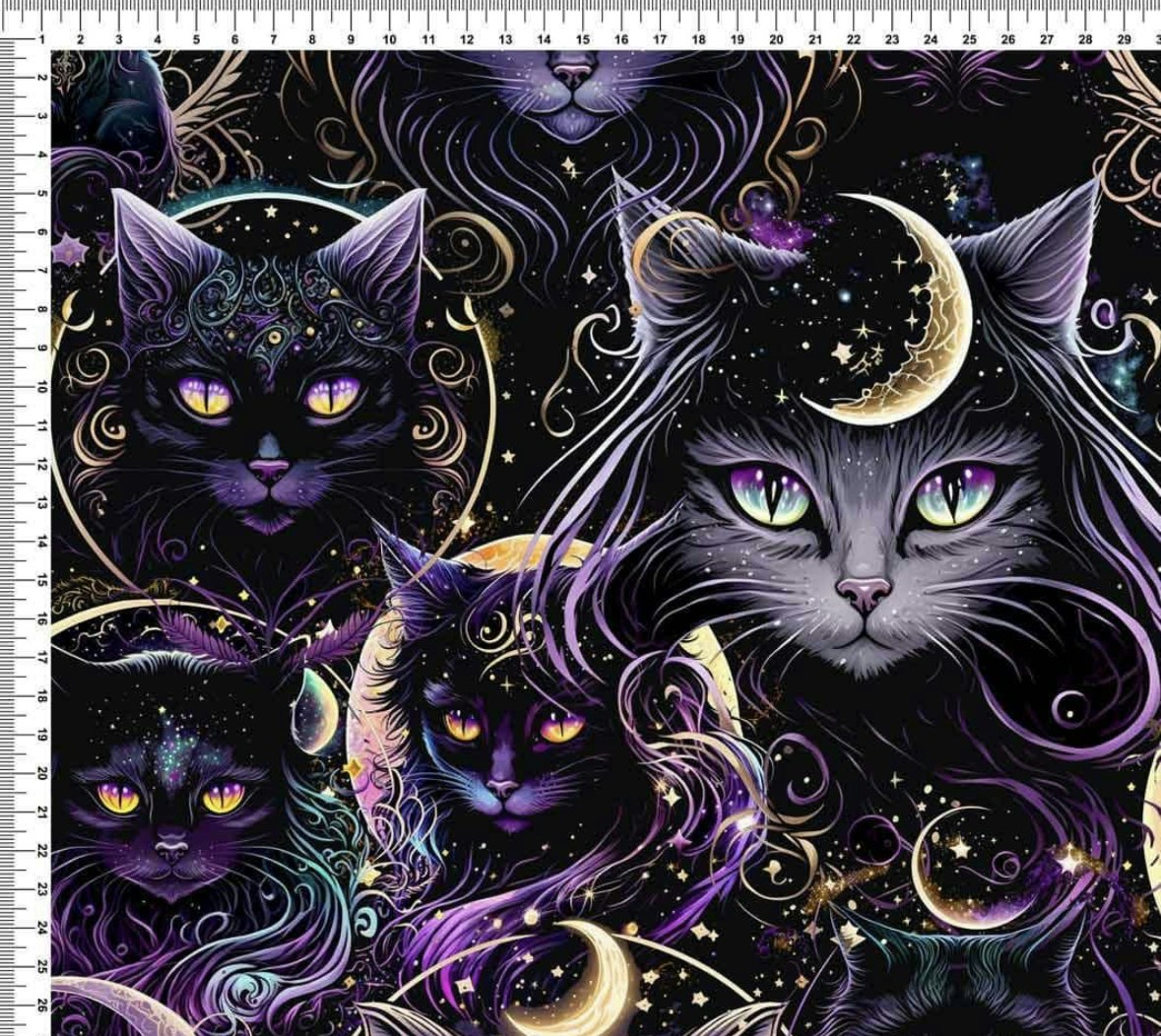 Katter Single Jersey