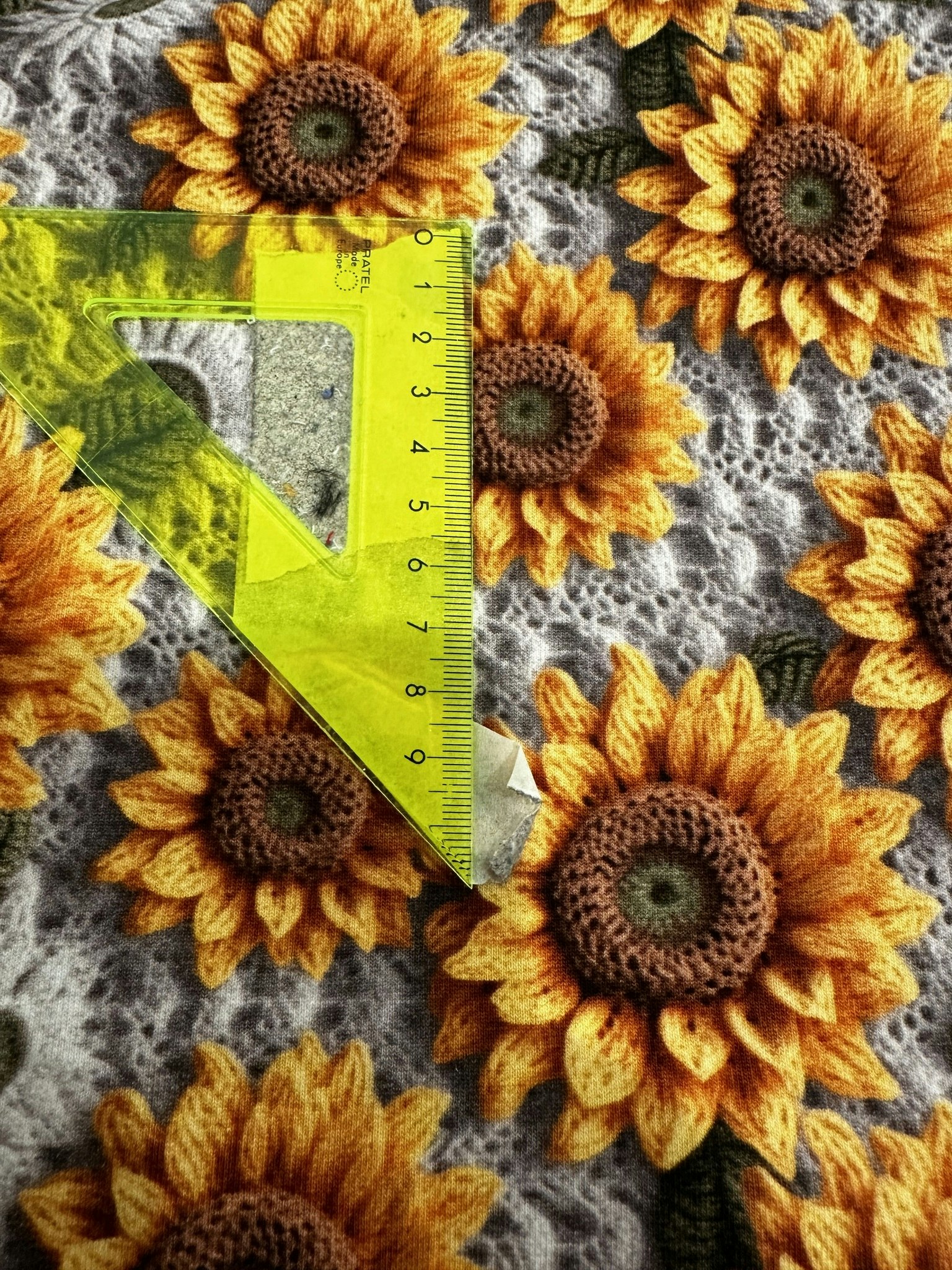 43cm Solros Blommor College French Terry