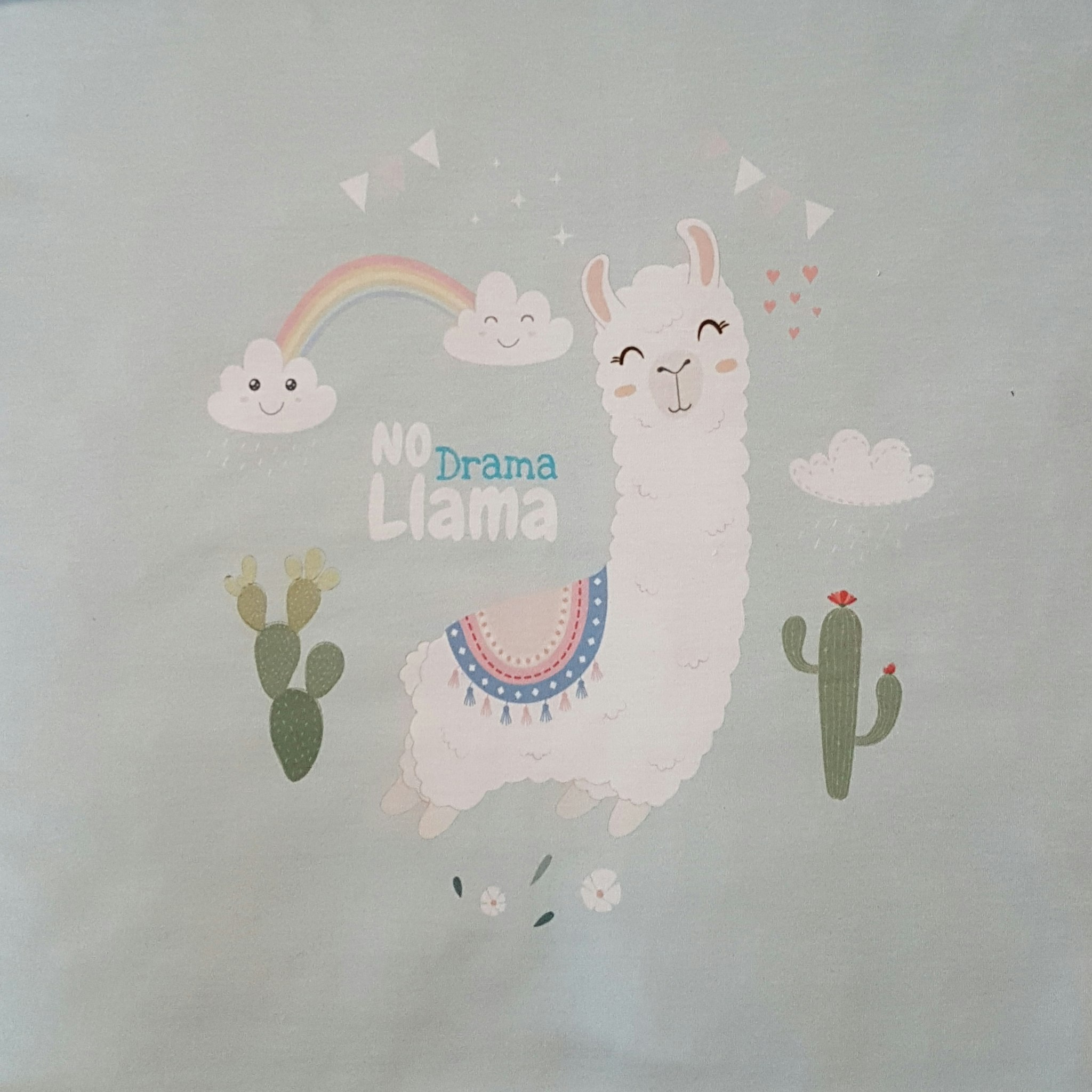 Panel No Drama Lama