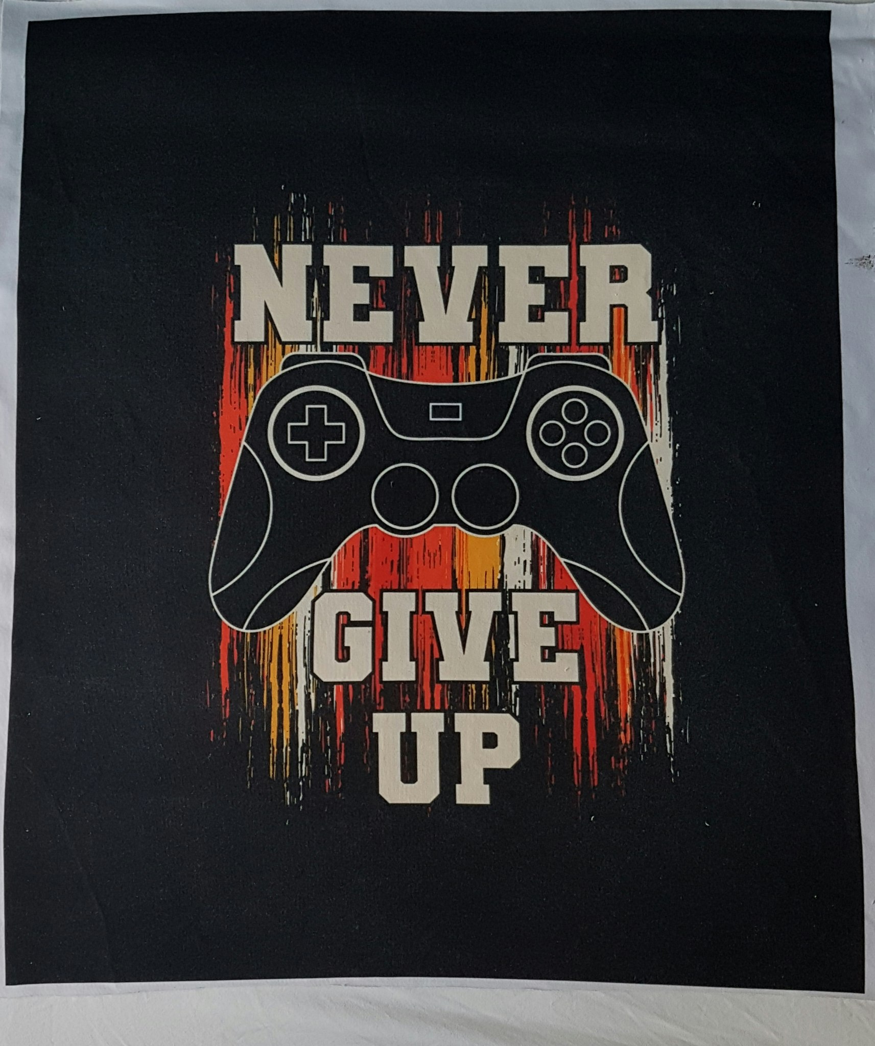 Panel Never Give Up
