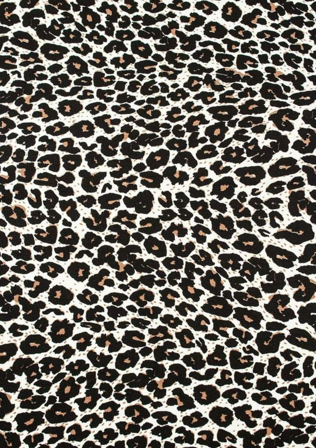 Leopard French Terry  OUTLET 68cm