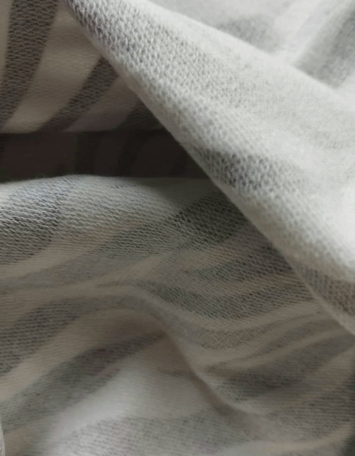 Zebra French Terry  OUTLET