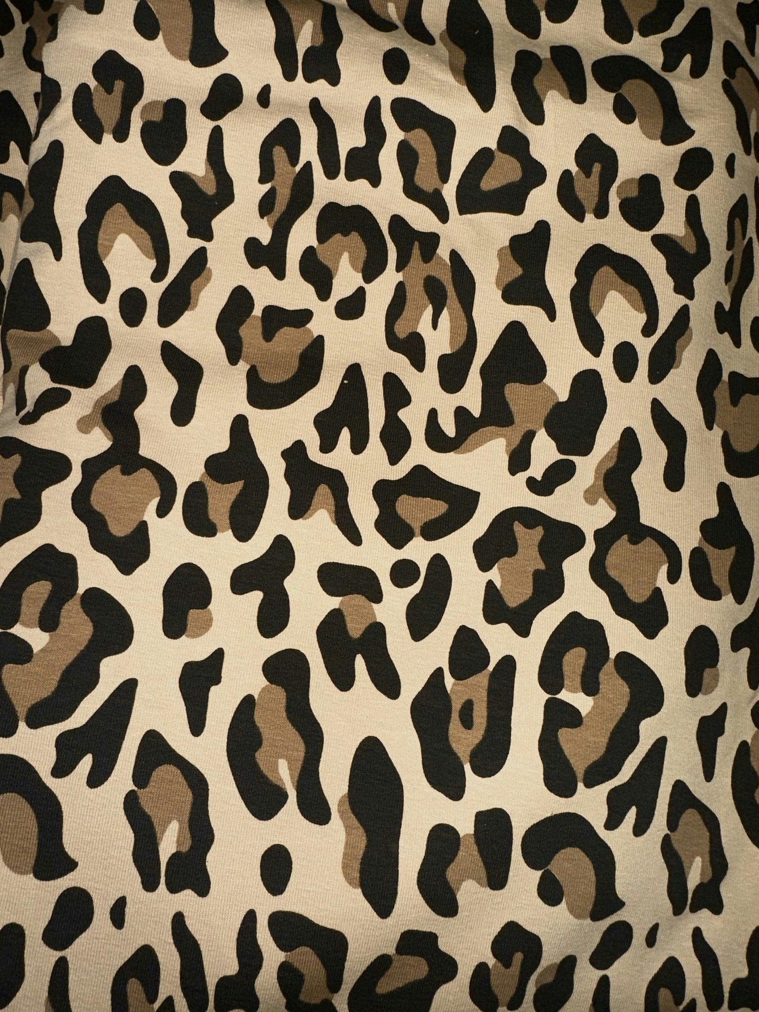 Tyg tyger French Terry college jogging öglad baksida Leo leopard