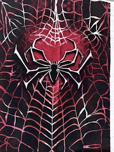 Panel Spider