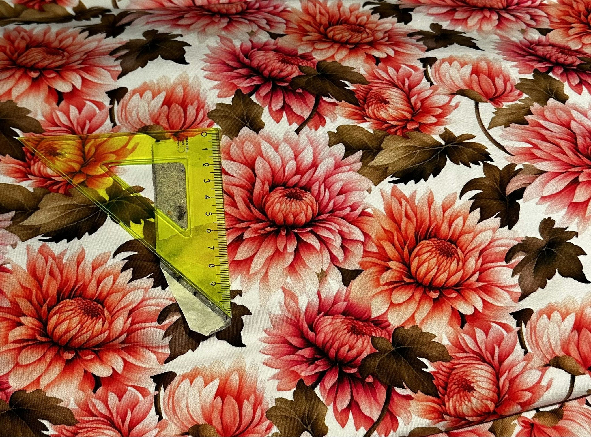 Röda Blommor College French Terry