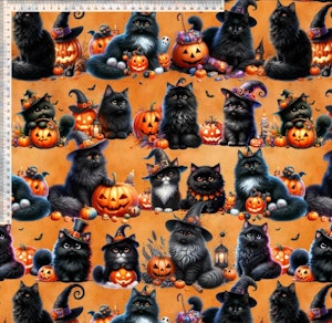 Halloween Pumpa Katt Orange College French Terry