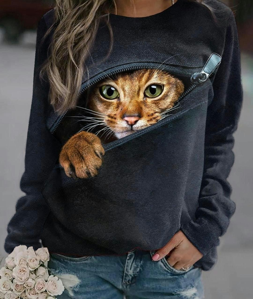 Tyg tyger katt French Terry college jogging öglad baksida katt