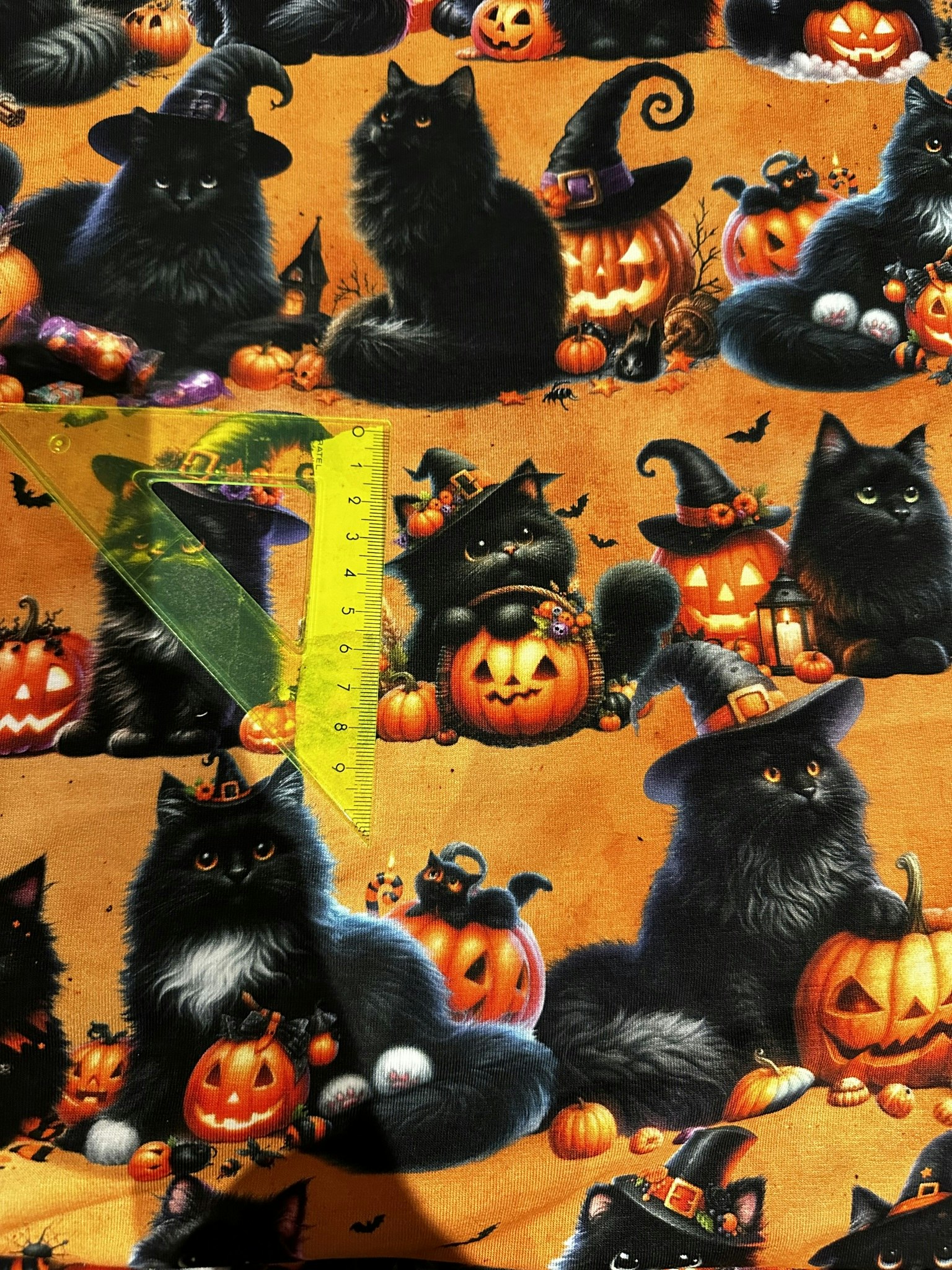 Halloween Pumpa Katt Orange College French Terry