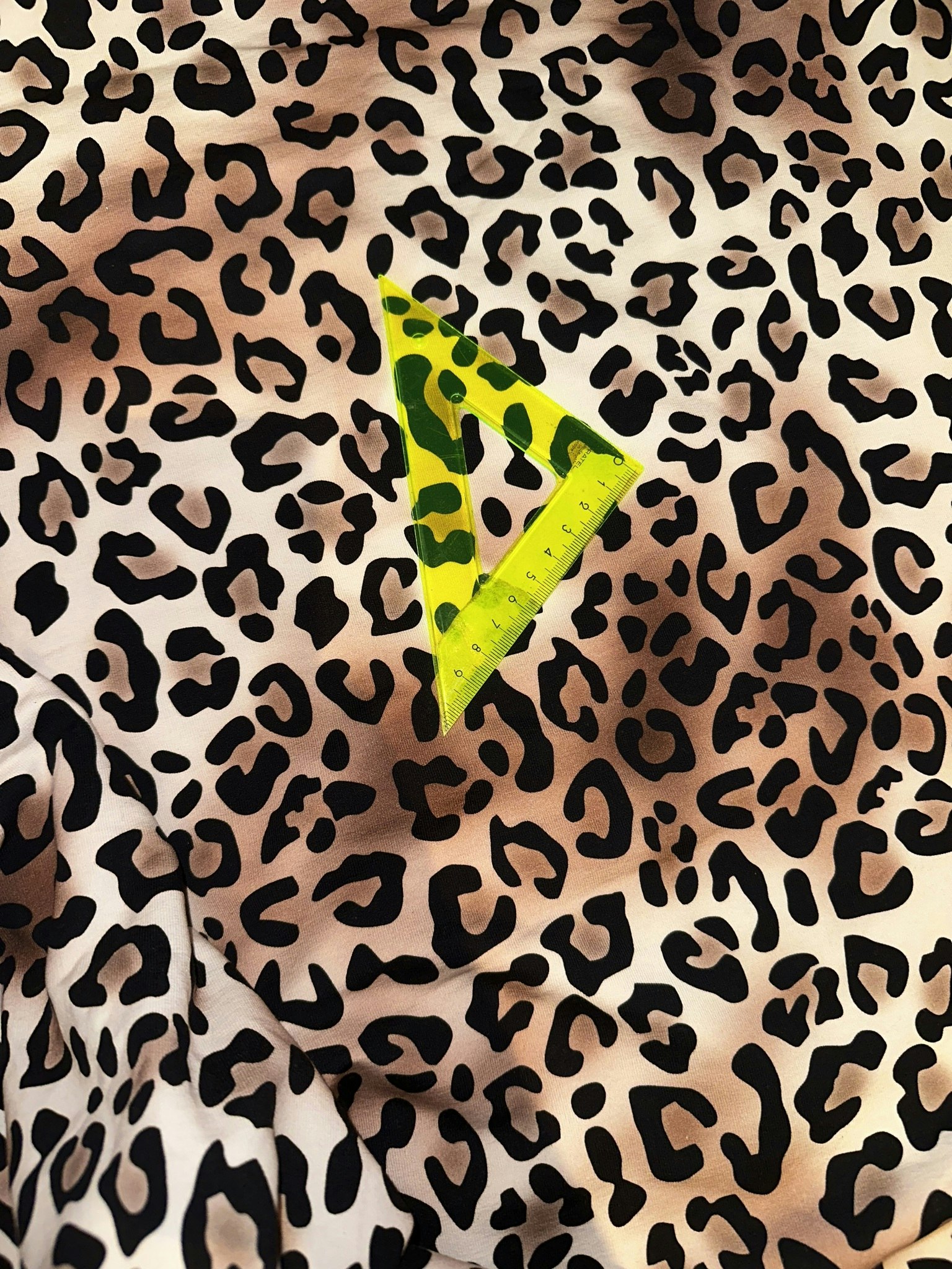 Leopard College French Terry
