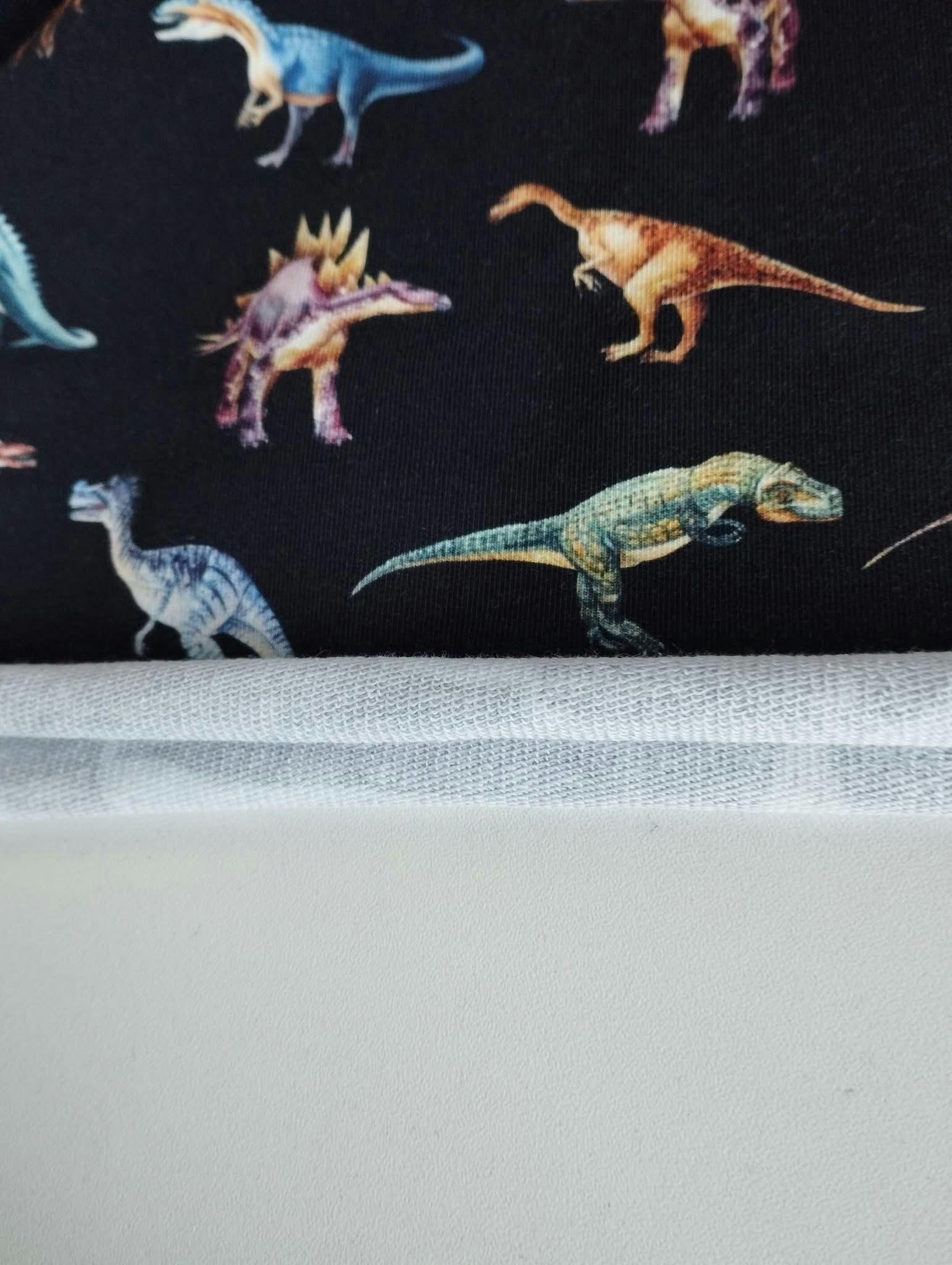 Dinosaurie College French Terry
