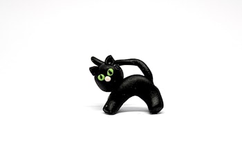 Svart katt