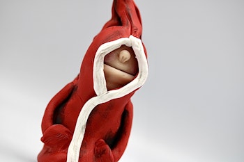 Cool tomte