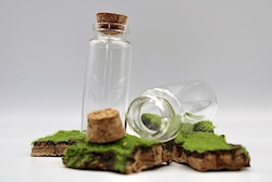Glasflaska miniatyr 75 mm x 30 mm