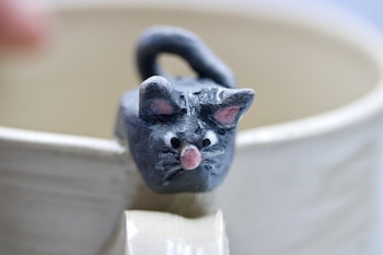 Temugg katt