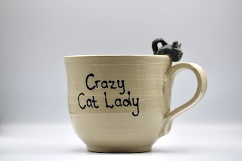 Temugg katt