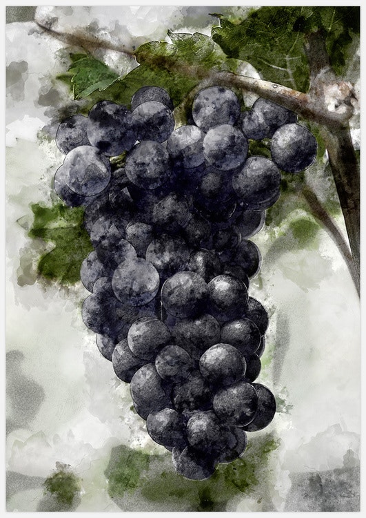 Painted Concord Grapes Art Print