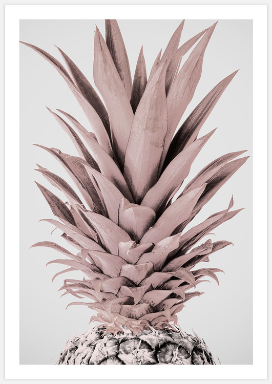 Light Pink Pineapple Art Print