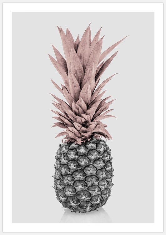 Light Pink Pineapple 2