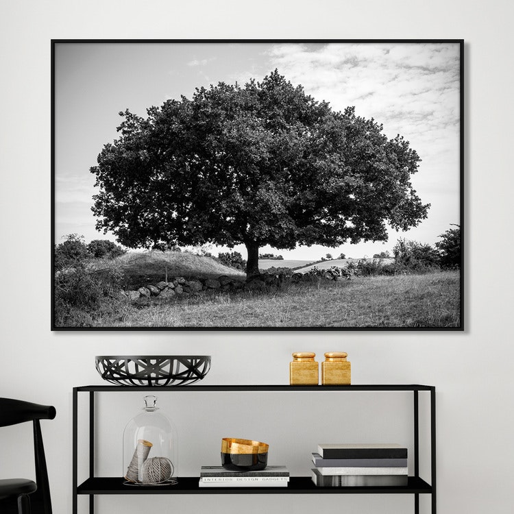 Amazing Tree Art Print