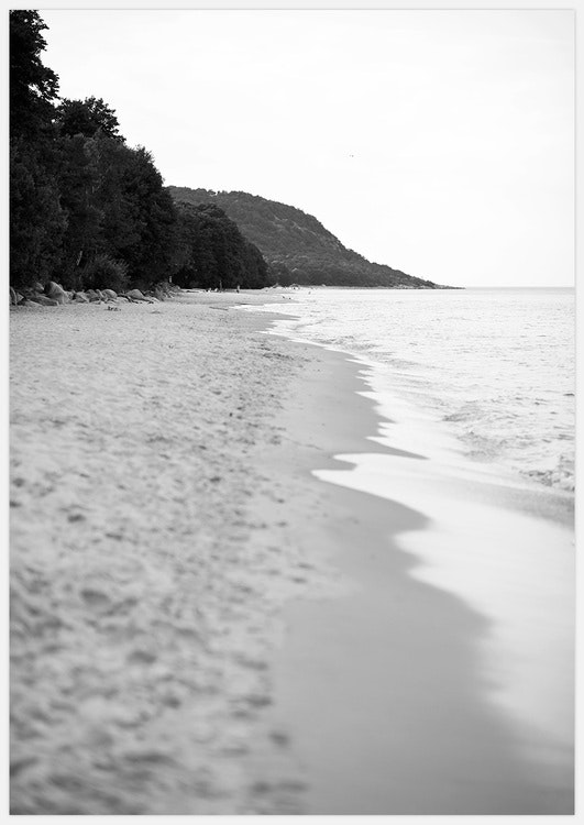 Scandinavian Beach