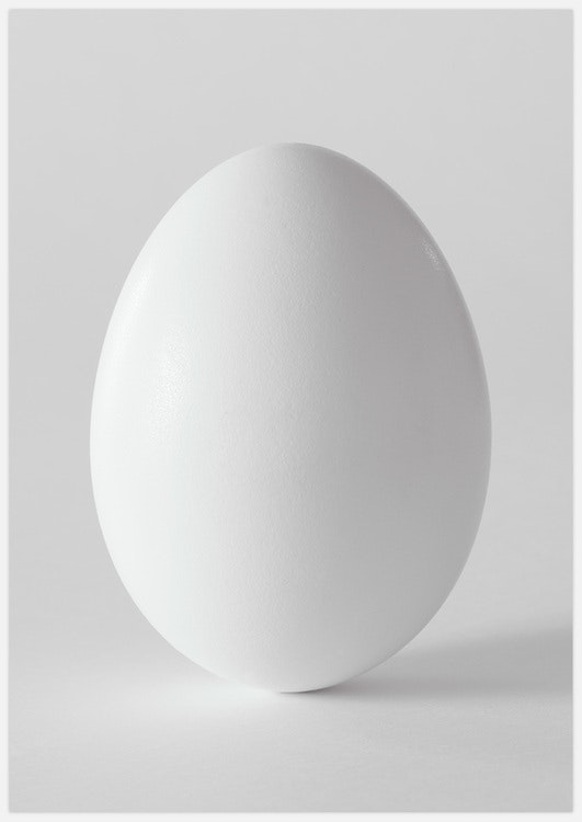 The Egg Art Print