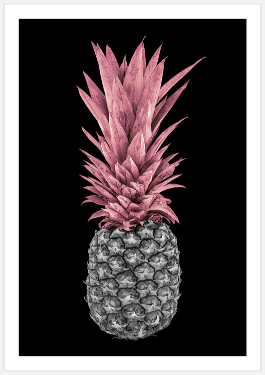 Pink Pineapple on black